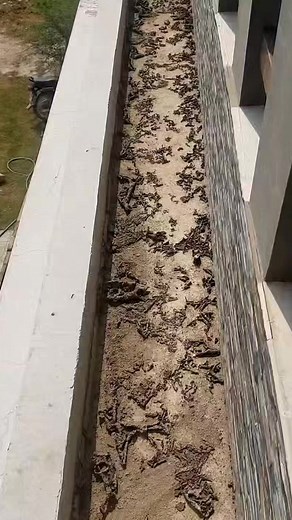 Filling of seedbed | Free Flow
