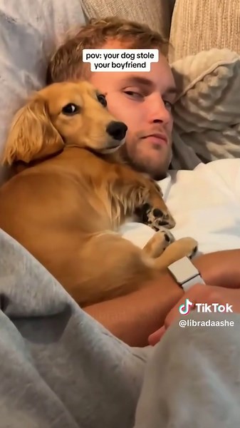 Funny Dog Steals My Man in Hilarious Video