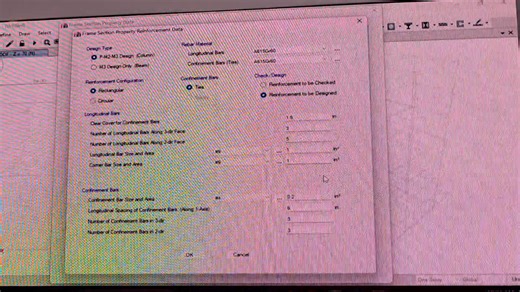 Etabs Class -3 কলাম এবং বীমে রিইনফোর্সমেন্ট বসানো। #Etabsclass1 #ETABS #ইটাইবস #reelschallengereelschallenge | BUILD Design & Consultant.