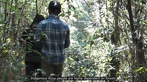 [Deep fried tarantulas in Cambodia] Tarantulas are a common delicacy in #Cambodia, deep fried and crispy. And they’re believed to have health benefits. We visit Skun village in Kampong Thom province which is known for tarantulas. Find out about how #deforestation is threatening the livelihood of #tarantula hunters and sellers in this southeast Asian country. #Culture #AsiaLeadershipRoundtable #CDNews #CDALR | Asia Leadership Roundtable