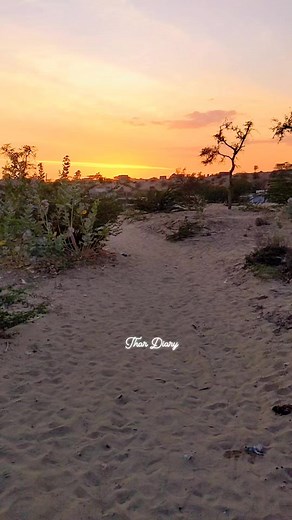 2.4K views · 97 reactions | Beautiful View Mithi Tharparkar #ishqmurshidnewepisode #MasterPaints #fbreelsfypシ゚viral #ishqmurshiddrama #IshqMurshid #AbdulKhaliqKhan #Durefishansaleem #bilalabbaskhan | Thar Diary | Facebook