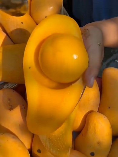 Asmer cold fruits 🥭🥝🍓🍑#fruit #frypgシ #omg #tiktok #viralvideo #500k @caoz000 @Fruits Love🍉🍒🥝🥥 @fruit30000 @Fruitee95 🍍🍎🍓🍇 @Premium Fruits 🍎🥝🍒 @Fruit_Asmr 🍎🥭 @Fruit_Asmr 🍎🥭 @Fruit_Asmr 🍎🥭