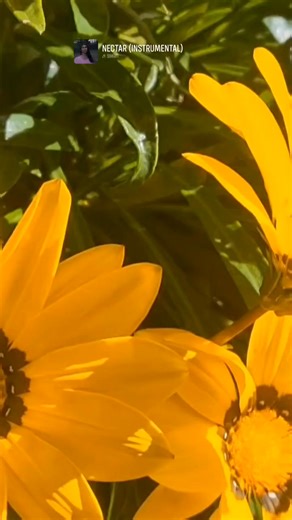 THE HIDDEN WORDS No.34, from the Persian O DWELLERS OF MY PARADISE ! With the hand of Loving- kindness. I have planted in the holy garden of paradise the young tree of your love and friendship, and have watered it with the goodly showers of My tender grace; now that the hour of its fruiting is come, strive that it may protected, and be not consumed with the flame of desire and passion. #BAHAULLAH #GloryOfGod #thehiddenwords #bahaiwritings #bahaifaith #onenessofGod #onenessofreligion #onenessofma