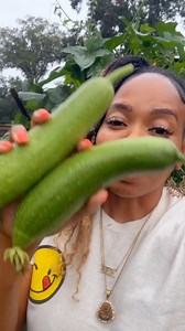 Soooo remember when I said you can cook Loofah (young loofah that is) .. well I tried it! With some squash, onions, peppers, made some tumeric rice and cornbread 🤗 #plantedwithluv #growyourownfood #loofah #squash #gardening #gardenlovers #gardenlove | Arie Bodden