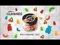 The Ultimate Guide to Vitazen Labs CBD Gummies