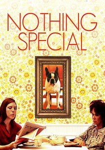 Nothing Special - movie: watch stream online