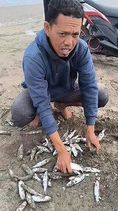 2K views · 26 reactions | Seconds of the Master Catching a Swarm of Mullet Fish on the Beach #fishingnet #pesca #fishing | Muammar Rafly | Facebook
