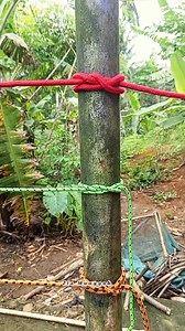 The constrictor knot and the double constrictor knot are both very secure when tied tightly around a convex object with a rope of appropriate size for the task at hand. 👍 #knot #constrictorhitch #climbing #lifestyle #fyp | Zia Munggah