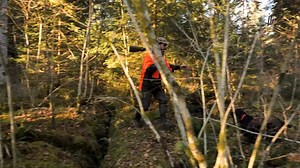 29K views · 435 reactions |  Jour de chasse dans le Jura avec l'équipe J'aime la Chasse. Journée grand gibier au coeur de la traque.  | J'aime la chasse | Facebook