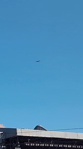 Anyone else here??? | Bubba Show