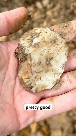 White Scraper #arrowheadhunting #ancientrelics #americanindian #rockhounding #artifacthunting