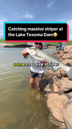 Catching Massive Striper at Lake Texoma Dam