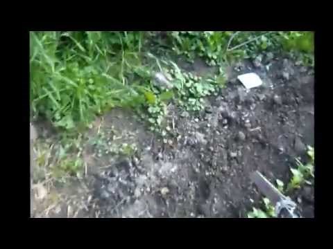 My Home made Stirrup, Scuffle, Hula Garden Hoe (Fast easy way for weeding your garden)