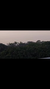 1.3K views · 147 reactions | Amazing bird show in Lahore today... SubhanAllah.... لاہور میں بہت خوبصورت نظارے۔۔۔۔پرندوں کی پرواز۔۔۔ | Lahore Accurate Weather Page | Facebook