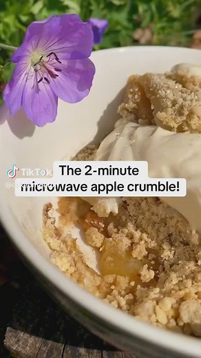 🍎🍏crumble 🤗🤗 #oats #oatmeal #oatmealbowl #oatmealrecipe #oatsforbreakfast #oatmeallover #applecrumble | Oatsforher