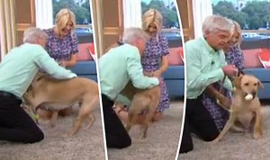 Phillip Schofield critcised by This Morning viewers for 'pulling' Clover