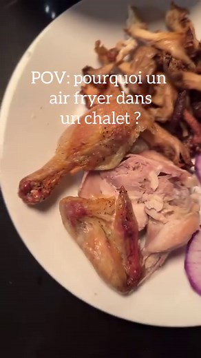 5.5K views · 82 reactions | Un AIR FRYER au chalet? En descendant...