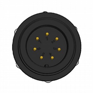 [Hot Item] OEM Custom 2p 10A Rated Current Cable Male Connector