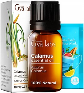 Gya Labs Calamus Essential Oil for Focus, Memory & Stress Relief - 0.34 Fl Oz