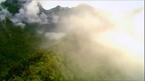 ✨Today marks #InternationalTeaDay, and China’s traditional tea processing techniques have been added to #UNESCO's #IntangibleCulturalHeritage list!👍 🍵There are six tea categories commonly seen in China: green, black, yellow, oolong, white, and dark. The renowned #恩施玉露茶 (ēn shī yù lù chá; Enshi Yulu Tea or Jade Dew Tea) from #Hubei province is a kind of steamed #greentea. It is rich in organic selenium and offers a fresh taste. Click on the video to watch the ten steps of making the tea and lea