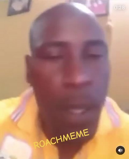 ROACHMEME (@roachmeme868)’s videos with original sound - ROACHMEME