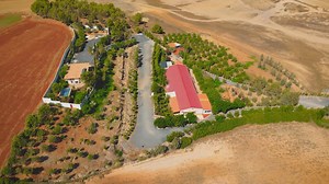 19K views · 290 reactions | قاعة الحفلات الاندلوسية عين بسام Salle...