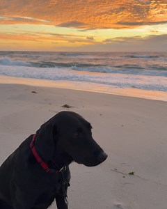 Mark Murphy on Reels