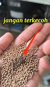 8K views · 29 reactions | Don't be fooled by filter dryers that look good on the outside路‍♂️ #filterdryer #refrigerator #kulkas #diy #service #repair #refrigeration | Bintang Teknik Pgk | Facebook