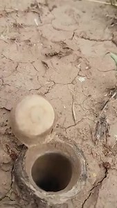 Паяци капани (Ctenizidae, Trapdoor spiders) Ctenizidae е малко семейство мигаломорфни паяци, които изграждат дупки с капак, подобен на тапа, направен от почва, растителност и коприна. Паяците-капани изграждат подземни дупки с камуфлажен капак („капанът“), който бързо отварят, за да хванат преминаващите насекоми. Накратко с отварянето те започват изненадваща атака. Мигаломорфни паяци (мygalomorphae или mygalomorphs) са разред паяци и включват една от трите основни групи живи паяци с над 3000 вида