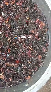 1.4K views · 13 reactions | ‍La Jamaica es una planta conocida por...