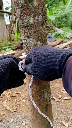 Beginner to Pro: Mastering Basic Knots”#KnotTutorial #a #rope #HowToTie #RopeSkills #KnotGuide