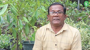 30K views · 758 reactions | Ceylon Agri on Reels | Facebook