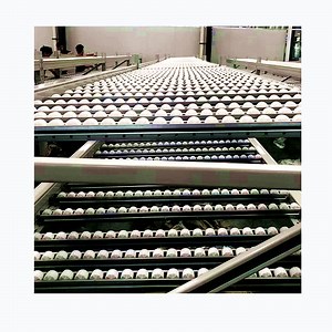 [Hot Item] Warehouse Storage Carton Fifo Flowracks