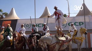 🇲🇦💬 « Cela fait plus de 40 ans que je monte à cheval. Nous partirons un jour, mais ce patrimoine, lui, restera. » Héritage ancestral marocain, les démonstrations de tbourida à El Jadida ont réuni plus de 2 000 cavaliers et cavalières venus des quatre coins du Royaume. | Le360