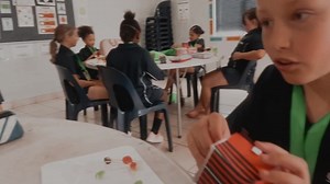 The Grade 3's learning about 3D Shapes in Mathematics. They created their own cube insect and built a cubical home for it. #currocountry #learnerstoleaders #practicallearning | Curro Kathu | Facebook