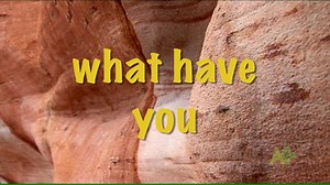 40K views · 138 shares | How do you use 'what have you'? MORE:...