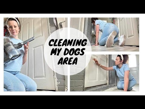 Clean With Me | Cleaning My Dogs Area | Kate Berry