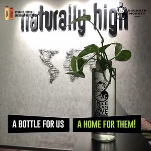 24 reactions | Plant happiness by reusing the bottle! Afterall, every plant needs a home. #drunkenmonkey #naturallyhigh #worldenvironmentday | Drunken Monkey | Facebook