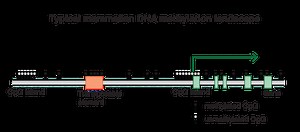 DNAメチル化の遺伝子発現への影響は何ですか - ニュース 2026