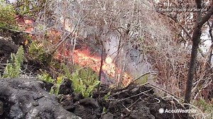 Mesmerizing terror: Lava creeps down a hill in Hawaii yesterday, burning plants in its path. | AccuWeather