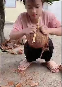 17M views · 40K reactions | Those things in the countryside of Hainan | UM Digos College - Legit Page | Facebook