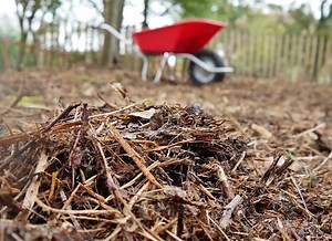 Le nettoyage du sol grâce au bois raméal fragmenté