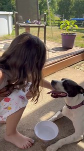 Mostly Muttz Rescue on Reels