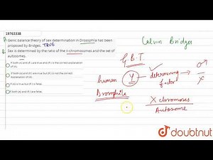 Genic balance theory of sex determination in Drosophila has been proposed by Bridges.