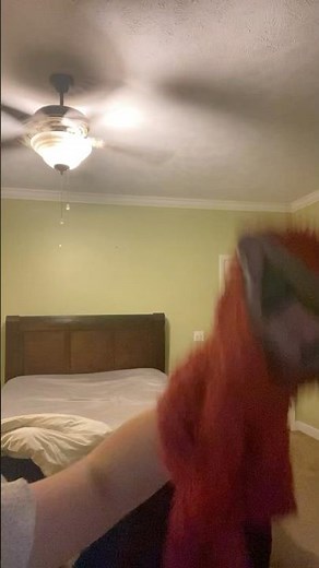 elmo world the bananas channel