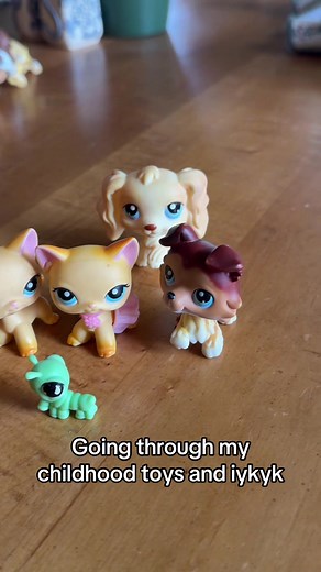 LPS Popular Childhood Toys & Memories