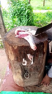 Goat Front Leg Cutting ! Nice Leg Meat Cutting ! Mutton Cutting Skils ! Desi Goat Meat Cutting Description Goat Front Leg Cutting ! Nice Leg Meat Cutting ! Mutton Cutting Skils ! Desi Goat Meat Cutting #mutton #cutting #skills #fbviral #goatmeat #muttoncurry #muttonbiryani #muttonlover #muttonrecipes #fbshorts #goatlegcutting #trend #fb #muttonkorma #fbpost #GOAT #meat #fbreelsvideo #meta #trendingnow #training #trendingvideo #trading trendingr | Somnath Biswas