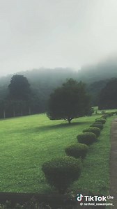 ලංකාවේ තියෙන ලස්සනම University එක 🎓 ❤🫶 University of Peradeniya 🖤 Video Credits Goes To Respectable Owner | 𝐔𝐧𝐁𝐞𝐥𝐢𝐞𝐯𝐀𝐛𝐥𝐞