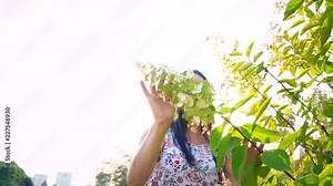 Young woman playfully runs around a green tree in the garden. Portrait of a smiling brunette with dimpled cheeks against a green park. Beautiful young woman looks at camera. Pretty girl in summer