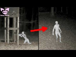 12 SCARY VIDEOS That Will Make You Question Reality